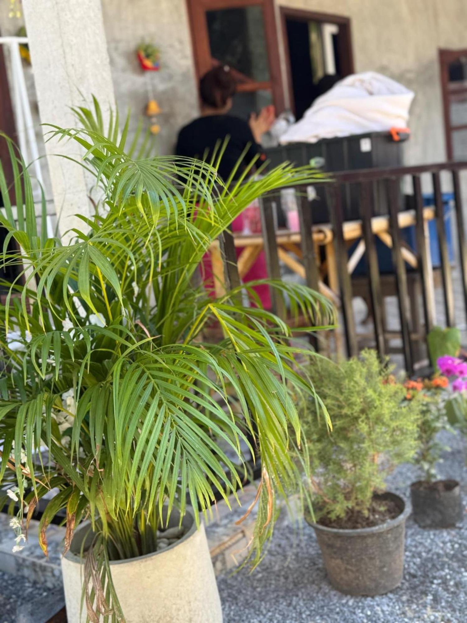 Lanta Natural Hut Garden Koh Lanta Luaran gambar